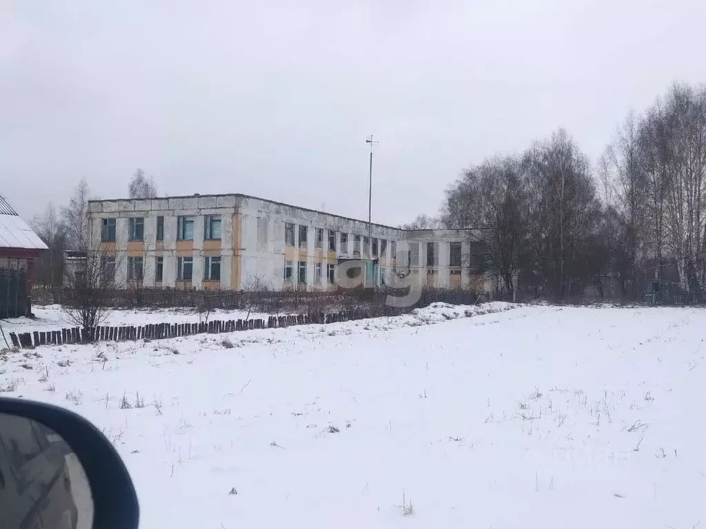 Помещение свободного назначения в Брянская область, Стародубский ... - Фото 1