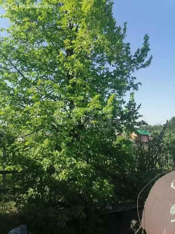 Участок в Томск, садовое товарищество Мичуринец, 4-я улица (6 м) - Фото 1