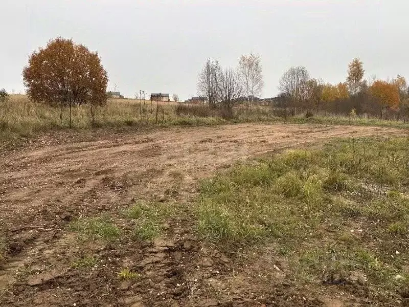 Участок в Тверская область, Калининский муниципальный округ, д. ... - Фото 2