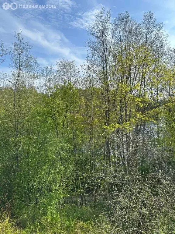 Дом в городской посёлок Токсово, улица Чайное Озеро, 3 (41.5 м) - Фото 0
