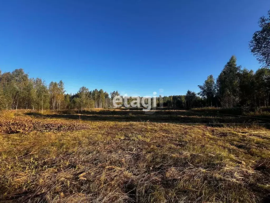 Участок в Владимирская область, Петушинский муниципальный округ, пос. ... - Фото 1
