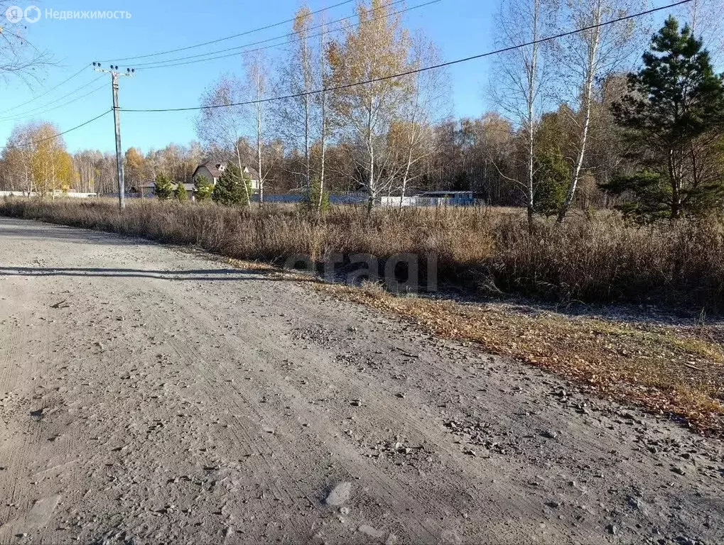 Участок в Курганская область, Кетовский муниципальный округ, деревня ... - Фото 2