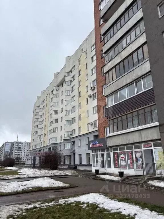 Торговая площадь в Псковская область, Псков Рижский просп., 51 (56 м) - Фото 1