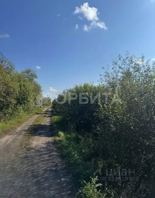 Участок в Тюменская область, Тюмень Рябинка-2 садовое товарищество, ... - Фото 0