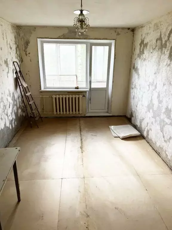 2-к кв. Ленинградская область, Лужский район, д. Ретюнь ул. ... - Фото 2
