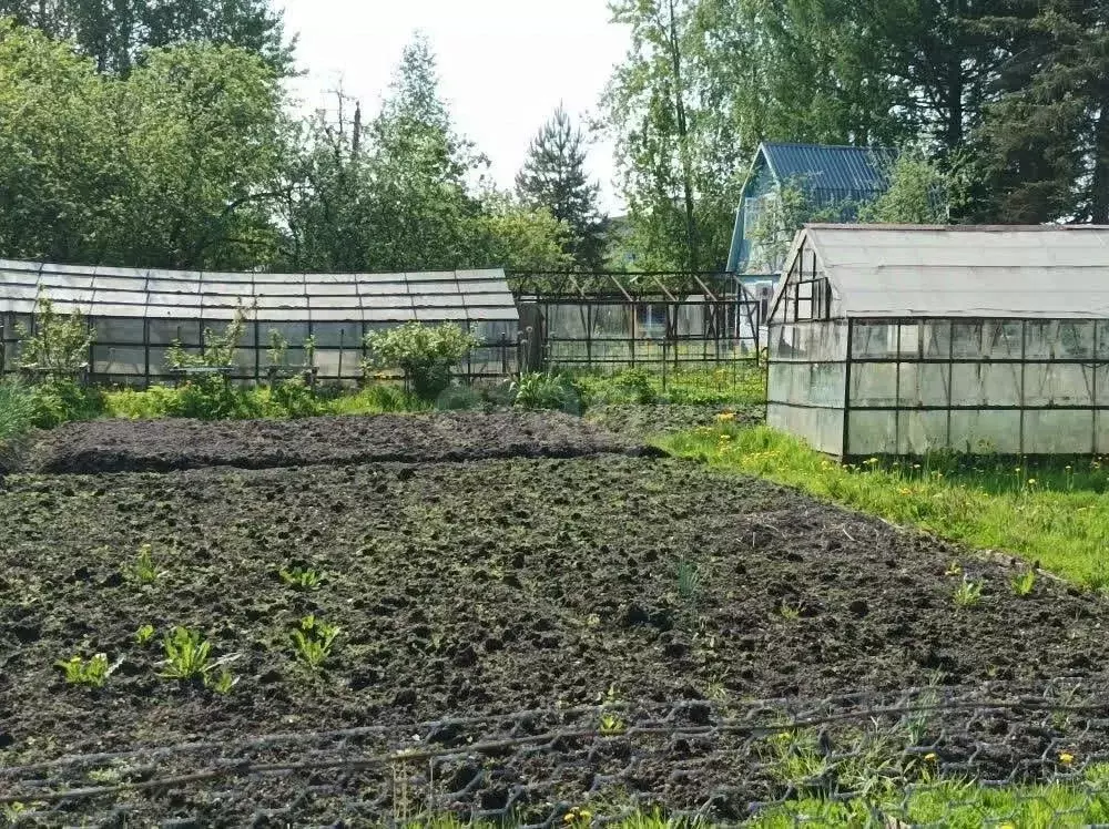 Дом в Ярославская область, Ярославский муниципальный округ, Березка-1 ... - Фото 2