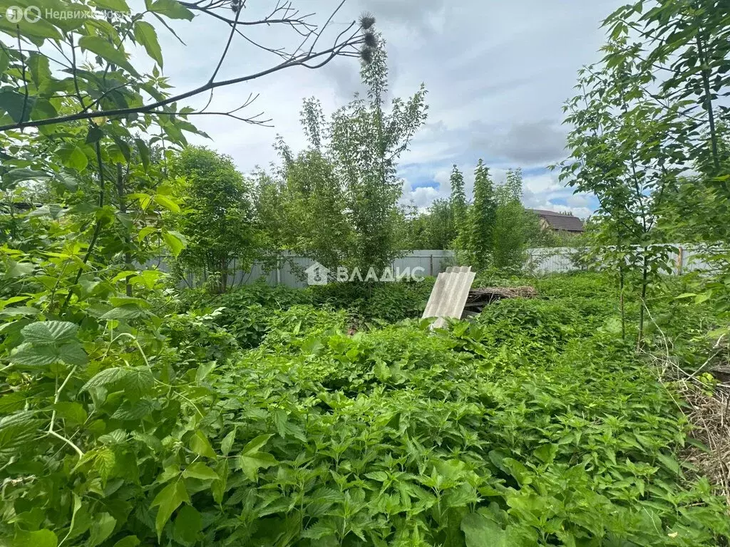 Дом в Егорьевск, улица Воровского, 4 (46 м) - Фото 2