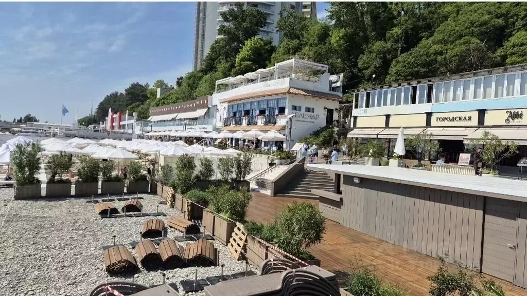 Помещение свободного назначения в Краснодарский край, Сочи Центральный ... - Фото 1