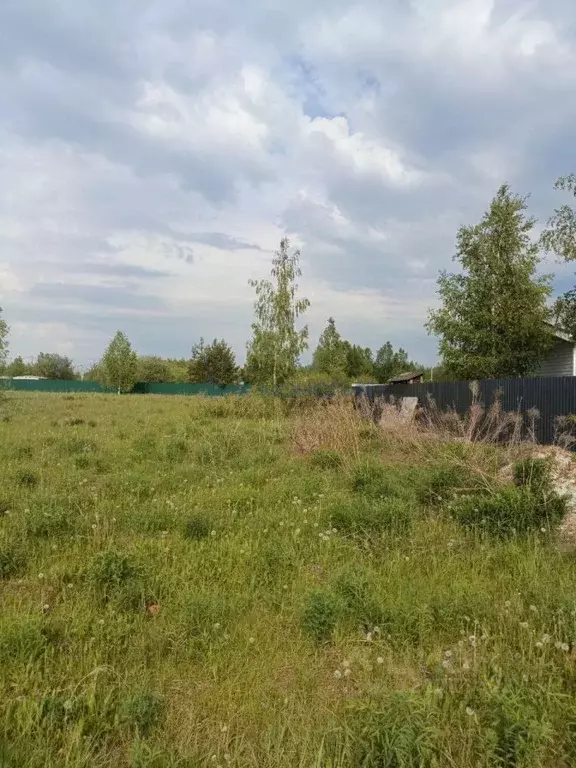 Участок в Нижегородская область, Богородский муниципальный округ, с. ... - Фото 1