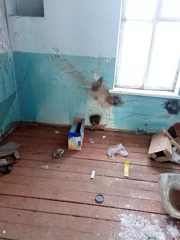 Помещение свободного назначения в Алтайский край, Зональный район, с. ... - Фото 1