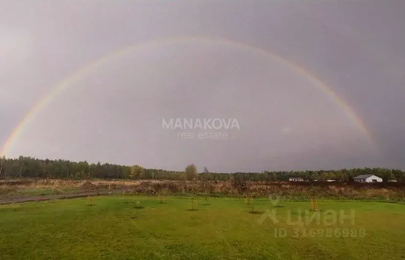Участок в Ленинградская область, Приозерский район, Сосновское с/пос, ... - Фото 1