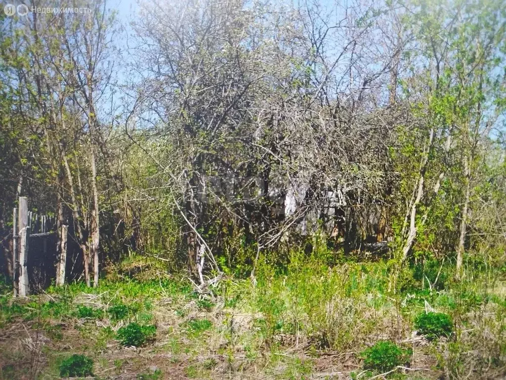 Участок в Саранск, садоводческое товарищество Урожай (6.8 м) - Фото 1