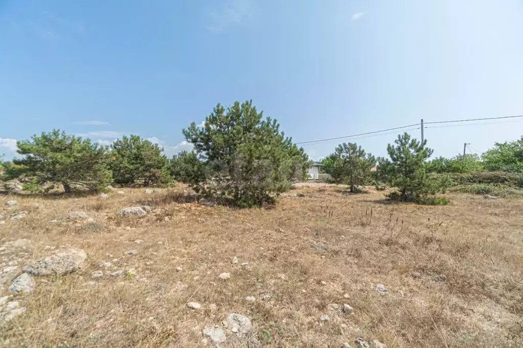 Участок в Севастополь Янтарь садоводческое товарищество, 17 (8.41 ... - Фото 1