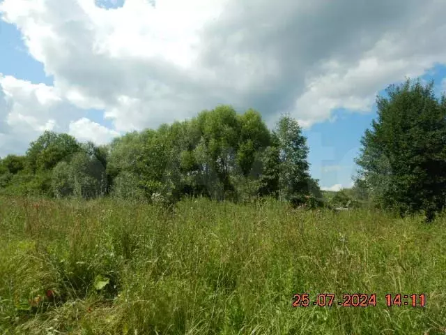 Участок 16,1 га (СНТ, ДНП) - Фото 1