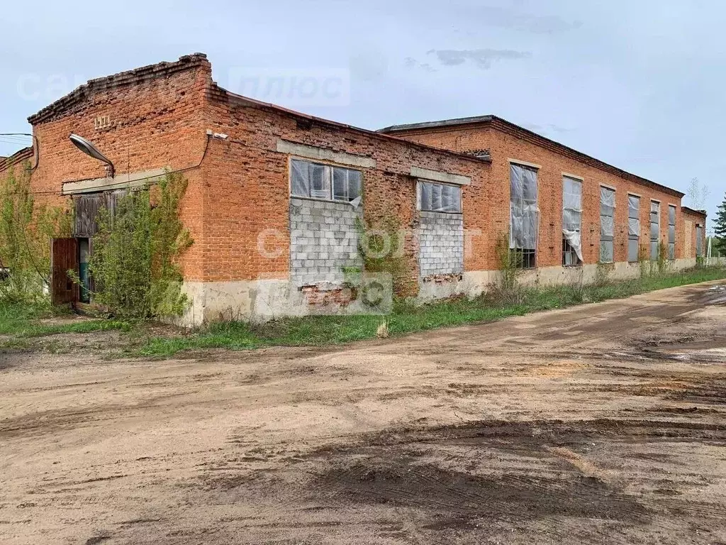 Производственное помещение в Московская область, Шатура городской ... - Фото 1