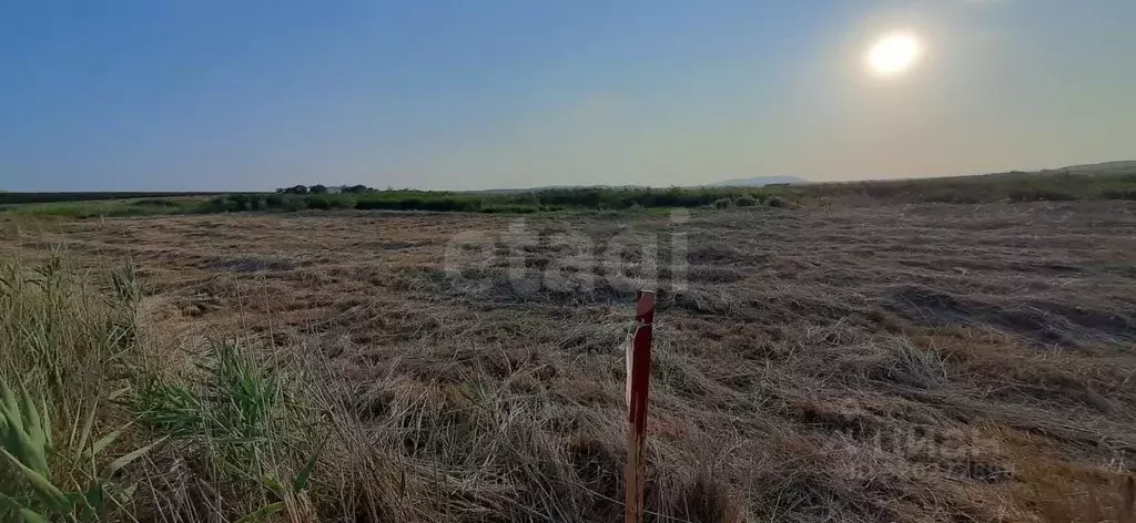 Участок в Крым, Феодосия муниципальный округ, с. Насыпное ул. ... - Фото 1