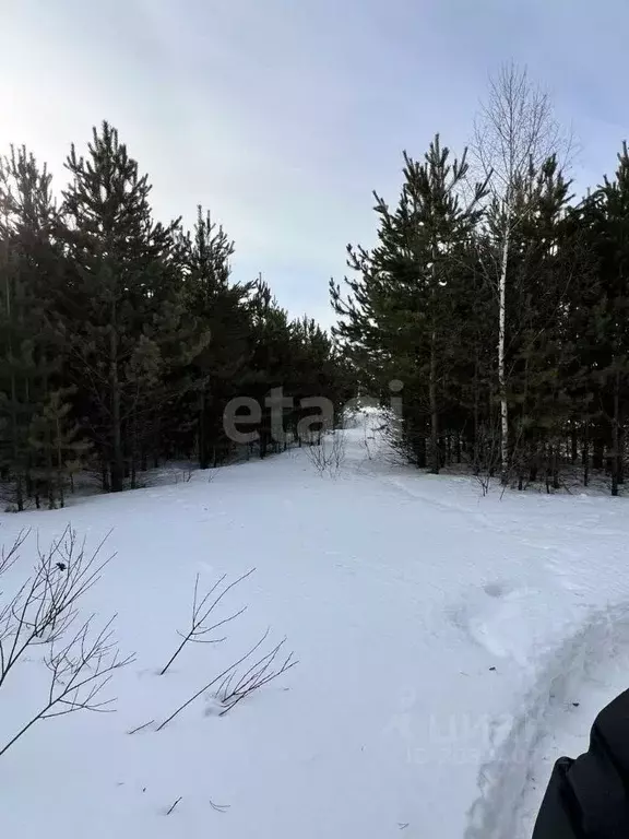 Участок в Свердловская область, Екатеринбург Верхнемакарово кп,  (11.1 ... - Фото 0