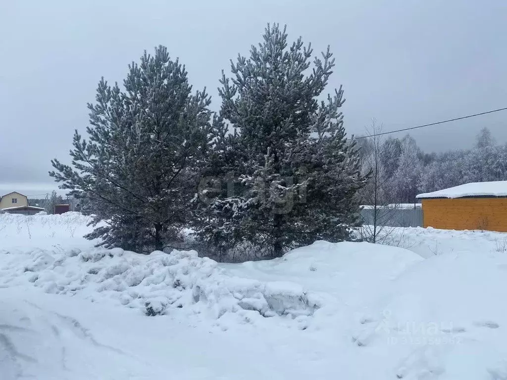 Участок в Кировская область, Слободской район, Шиховское с/пос, д. ... - Фото 0