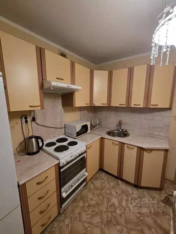 1-к кв. Ленинградская область, Сосновый Бор Парковая ул., 36 (36.0 м) - Фото 0