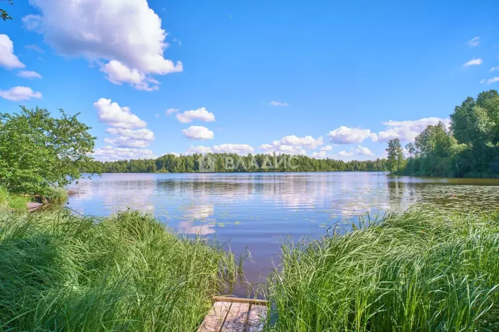 Дом в Карелия, Пряжинский район, Ведлозерское с/пос, д. Савиново  (50 ... - Фото 1