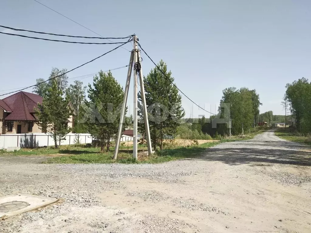 Участок в Новосибирская область, Новосибирский район, Барышевский ... - Фото 1