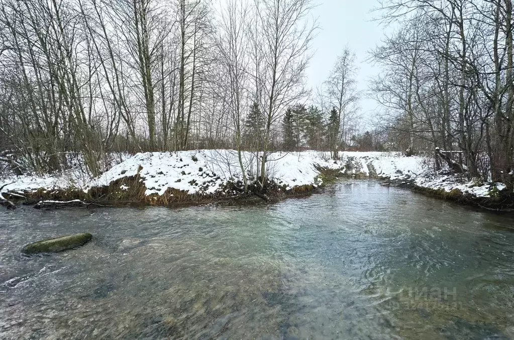Участок в Ленинградская область, Ломоносовский район, Ропшинское ... - Фото 2