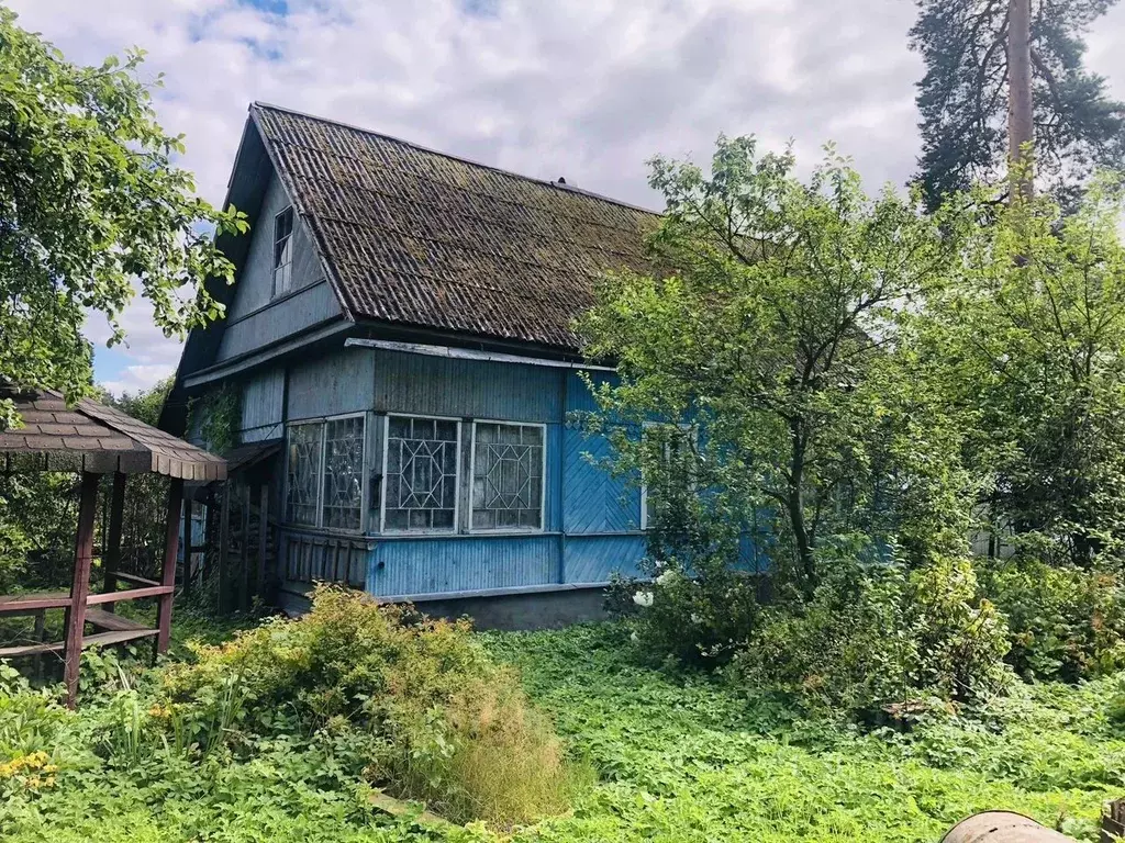 Дом в Ленинградская область, Луга Большая Заречная ул., 44А (76 м) - Фото 2