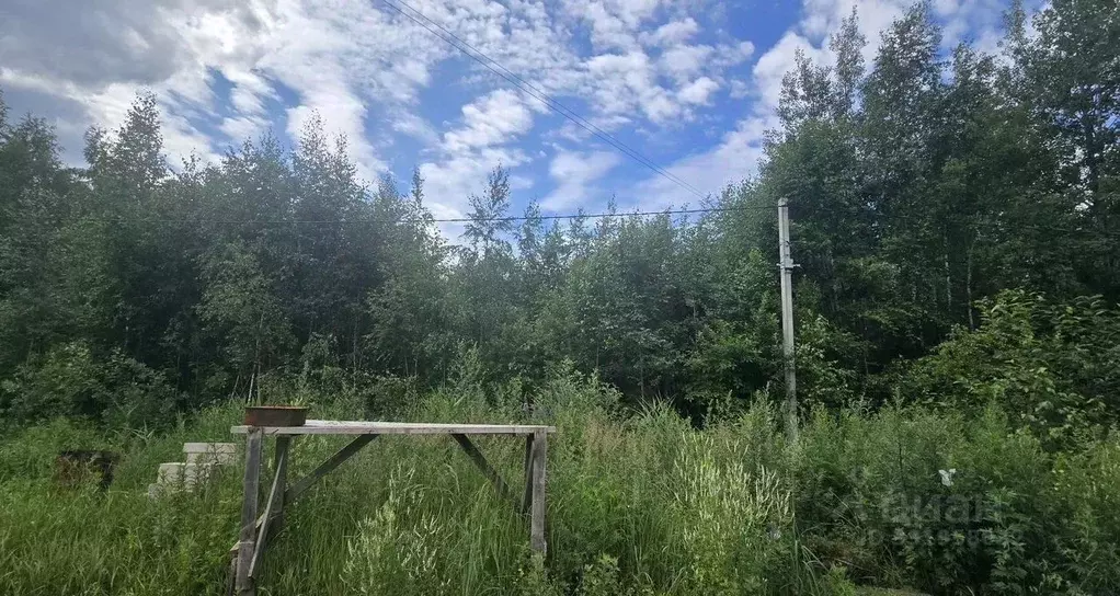 Участок в Московская область, Дубна Стела ПОИЗ, ул. 2-я Хвойная (10.0 ... - Фото 1