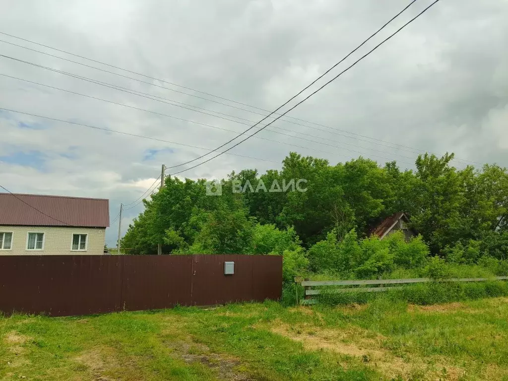 Участок в Пензенская область, Бессоновский район, с. Кижеватово ул. ... - Фото 0