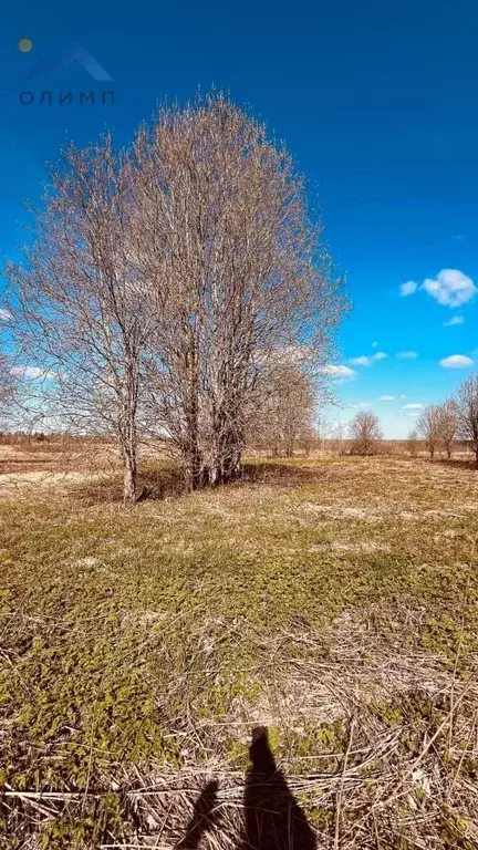 Участок в Вологодская область, д. Доманово  (41.0 сот.) - Фото 1
