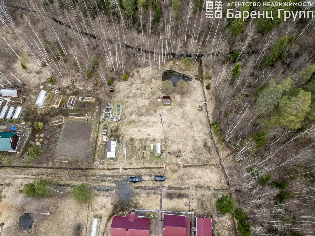 Участок в Карелия, Кондопожский район, Кончезерское с/пос, Вымпел СОТ  ... - Фото 2