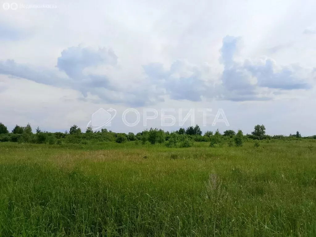 Участок в Тюменский район, село Чикча (350 м) - Фото 0