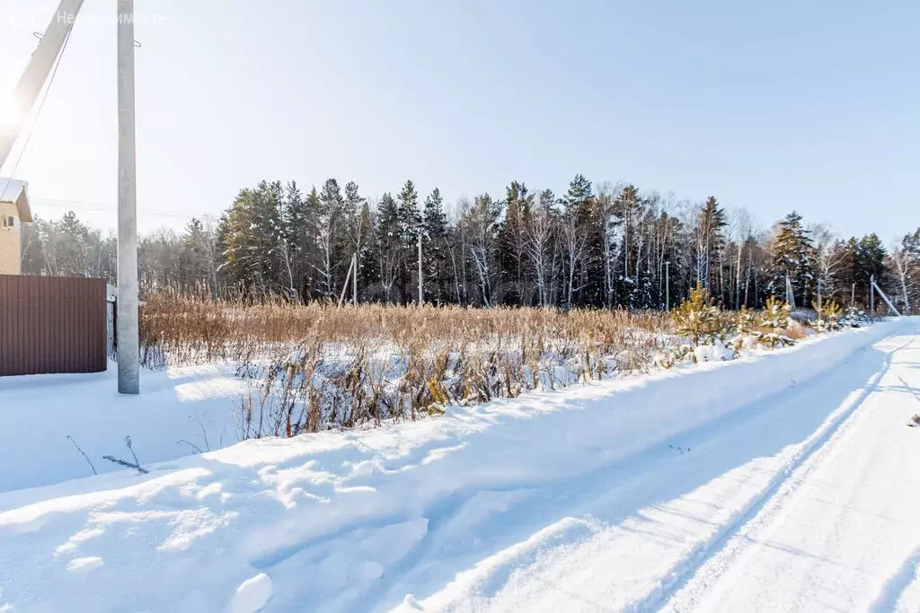 Участок в Тюменский муниципальный округ, деревня Ушакова, Праздничная ... - Фото 1