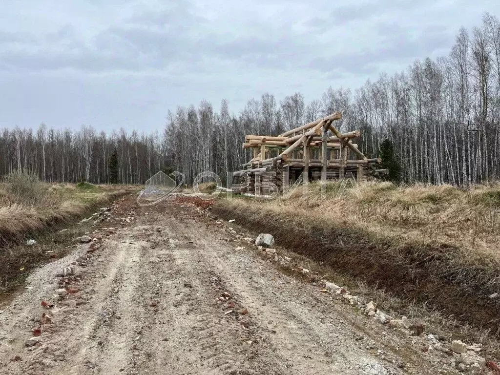 Участок в Тюменская область, Тюменский муниципальный округ, с. Кулига, ... - Фото 1