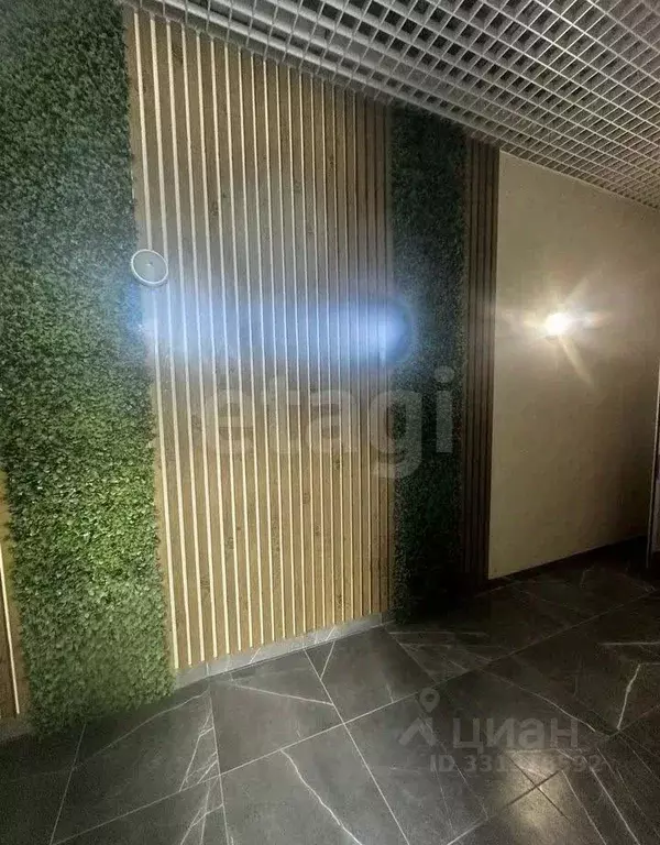 Студия Алтайский край, Барнаул ул. Никитина, 10 (20.3 м) - Фото 1