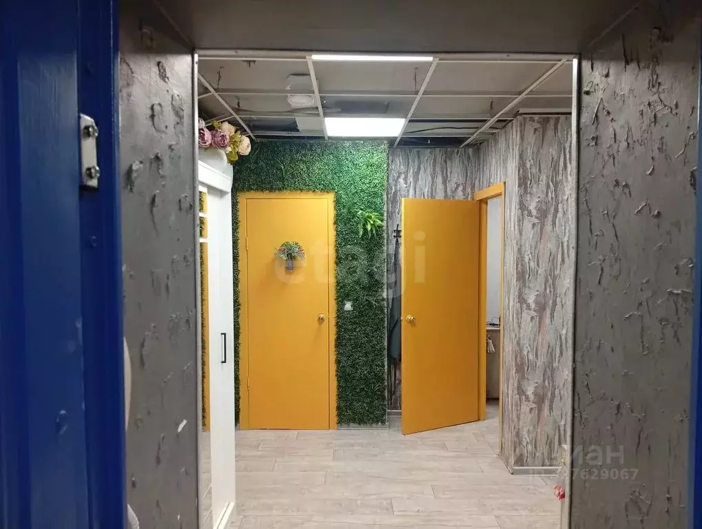 Офис в Алтай, Горно-Алтайск ул. Петра Сухова (41 м) - Фото 1