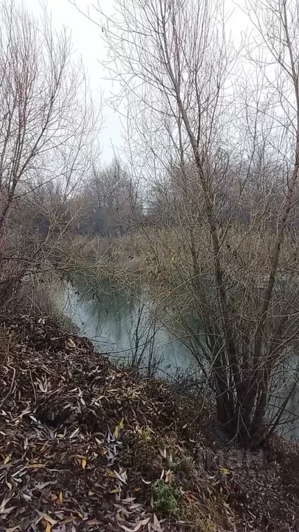 Участок в Волгоградская область, Среднеахтубинский район, Фрунзенское ... - Фото 1
