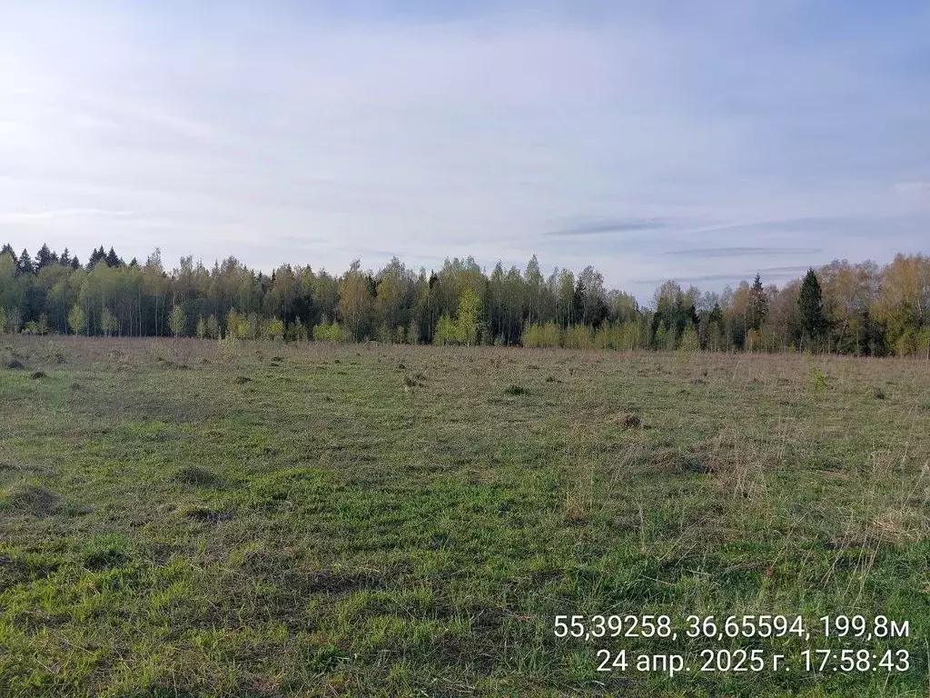 Участок в Московская область, Наро-Фоминский городской округ, д. ... - Фото 0