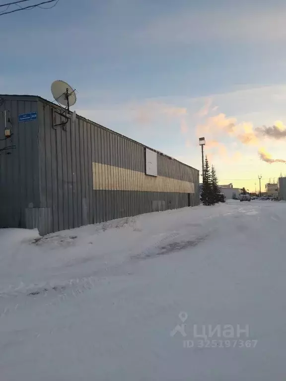 Склад в Ямало-Ненецкий АО, Новый Уренгой ул. Промысловая, 2А/6 (441 м) - Фото 1