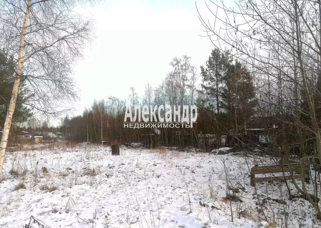 Участок в Ленинградская область, Приозерский район, Ларионовское ... - Фото 1