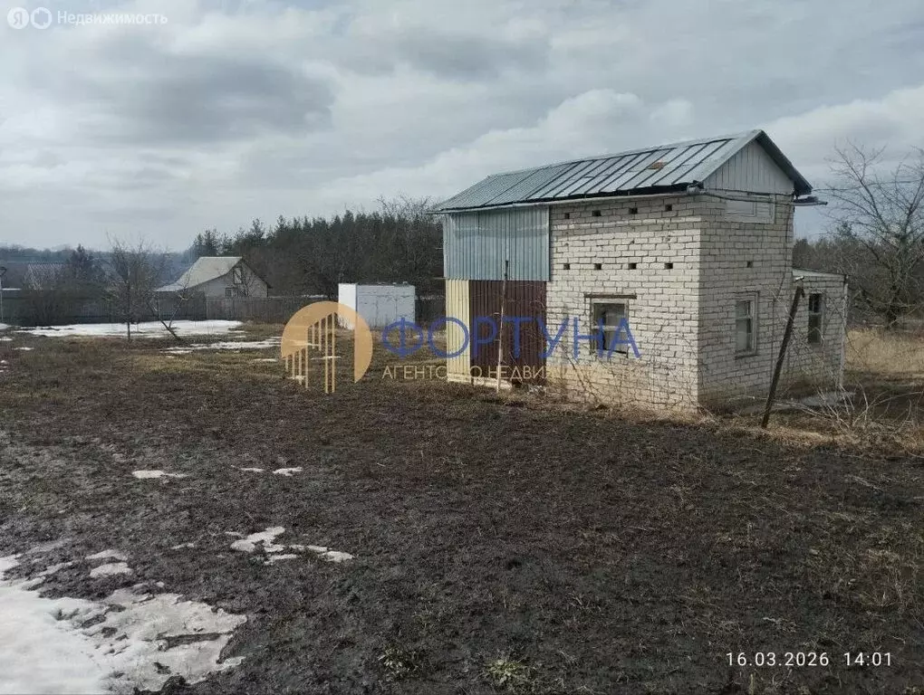 Дом в Белгородская область, Яковлевский муниципальный округ, село ... - Фото 1