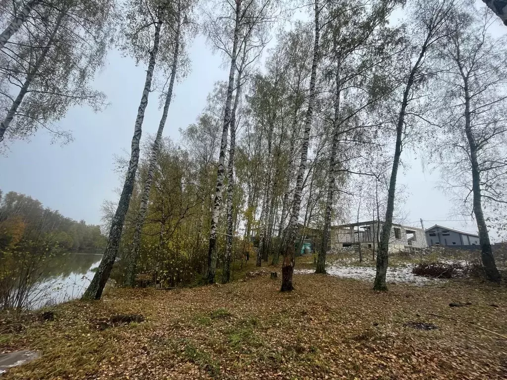 Дом в Московская область, Домодедово городской округ, д. Минаево  (240 ... - Фото 0