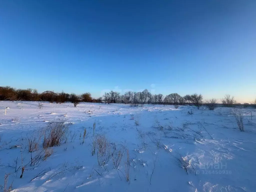 Участок в Курская область, Октябрьский район, Черницынский сельсовет, ... - Фото 1