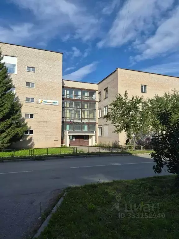 Помещение свободного назначения в Челябинская область, Чебаркуль ул. ... - Фото 2