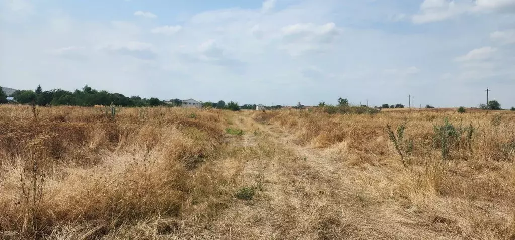 Участок в Ставропольский край, Грачевский муниципальный округ, с. ... - Фото 1