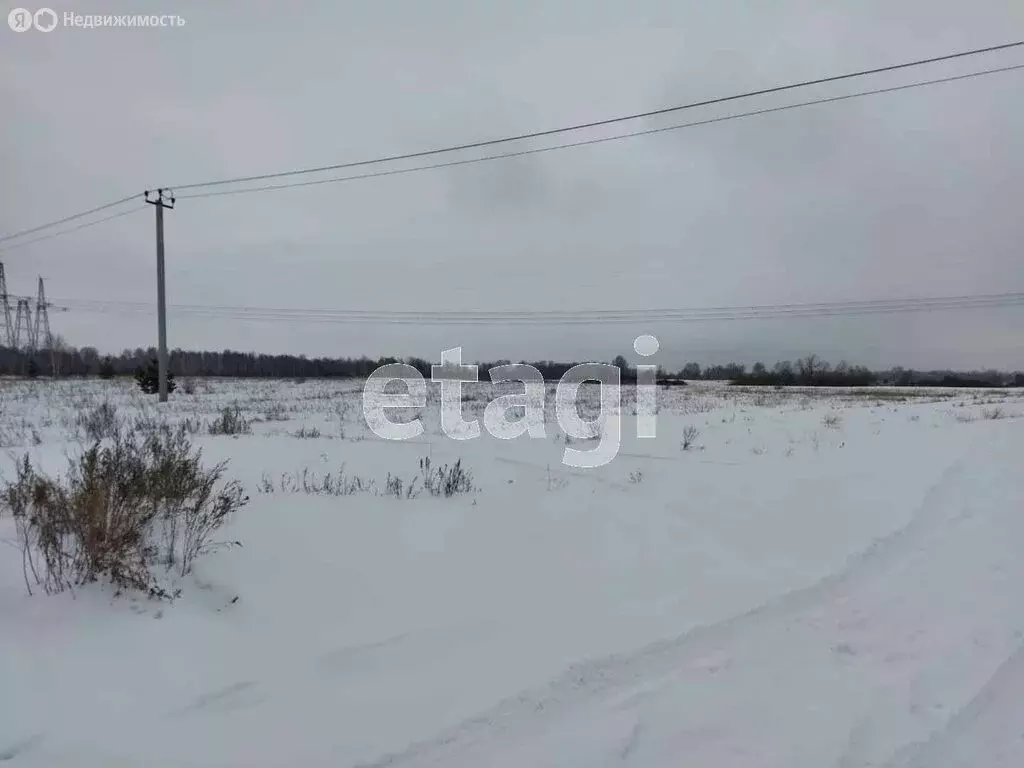 Участок в деревня Хохлы, Центральная улица (7.57 м) - Фото 1