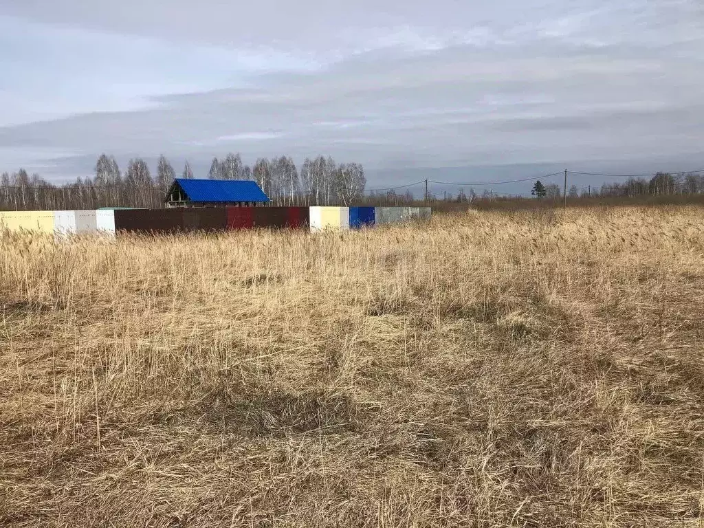 Участок в Тюменская область, Тюмень Липовый Остров СНТ, ул. 16-я ... - Фото 1