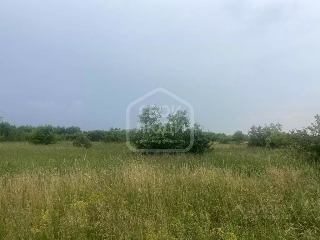 Участок в Рязанская область, Рязанский муниципальный округ, пос. ... - Фото 1
