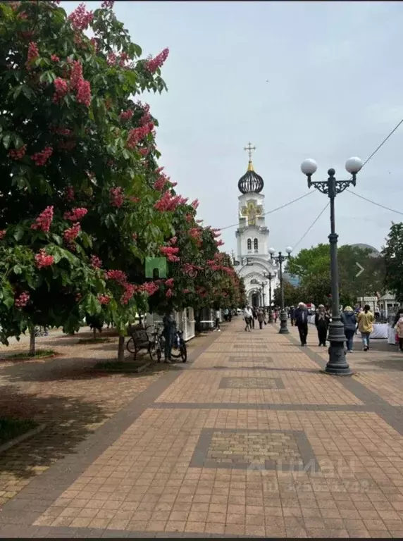 2-к кв. Краснодарский край, Новороссийск Суворовская ул., 13 (44.0 м) - Фото 2