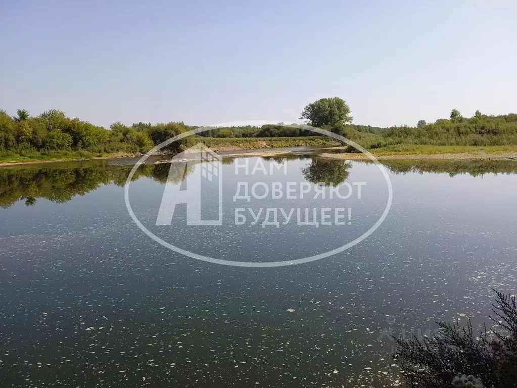 Участок в Пермский край, Чусовской городской округ, д. Кучино ул. ... - Фото 0